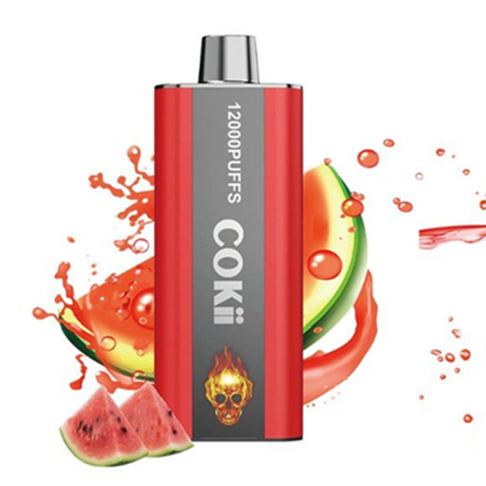 NEW COMING COKII 12000 PUFFS DISPOSABLE VAPE WITH ANIMATION FLAME SCREEN DISPLAY OF BATTERY POWER AND E LIQUID VOLUME